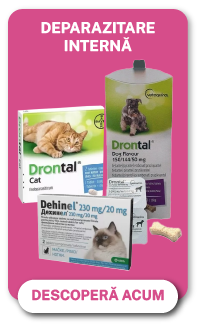 PRODUSE ANTIPARAZITARE - DEPARAZITARE INTERNA UZ VETERINAR